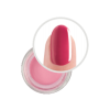 ANDREIA Dipping Powder Color DP4 10grs