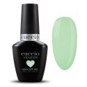 Num 159 CUCCIO VENEER Positivity 13ml