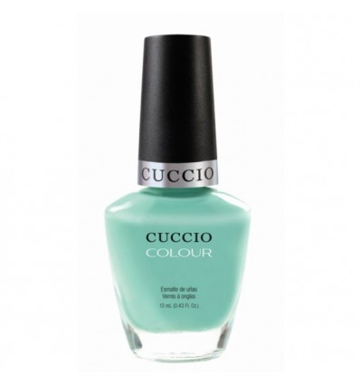 CUCCIO COLOUR Buy Mint Condition