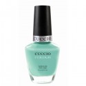 CUCCIO COLOUR Buy Mint Condition