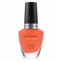 CUCCIO COLOUR Be Fearless