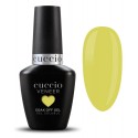 Num 43 CUCCIO VENEER Seriously Celsius 13ml