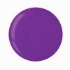 CUCCIO DIPPING (Neon Purple) 56 gr